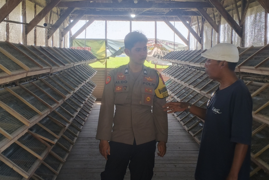 IMG-20260610-WA0038